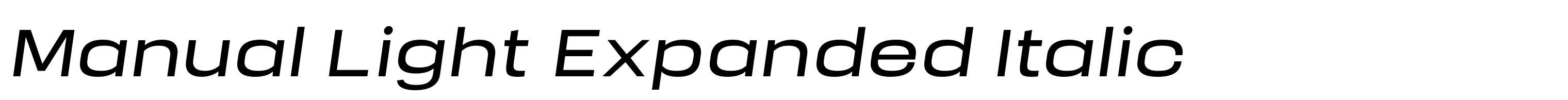 Manual Light Expanded Italic